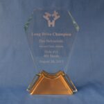 Long Drive Champion 403 yards Award