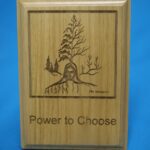 A wooden plaque with the words " power to choose ".