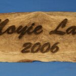 Picture of Moyie Lake 2006 signs board